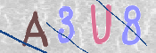 CAPTCHA 驗證圖片