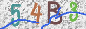 CAPTCHA 驗證圖片