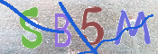 CAPTCHA 驗證圖片