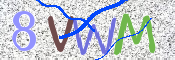 CAPTCHA 驗證圖片