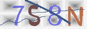 CAPTCHA 驗證圖片