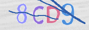 CAPTCHA 驗證圖片