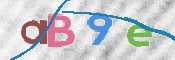 CAPTCHA 驗證圖片