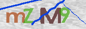 CAPTCHA 驗證圖片