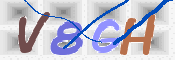 CAPTCHA 驗證圖片