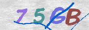 CAPTCHA 驗證圖片