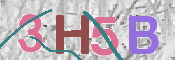 CAPTCHA 驗證圖片