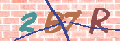 CAPTCHA 驗證圖片